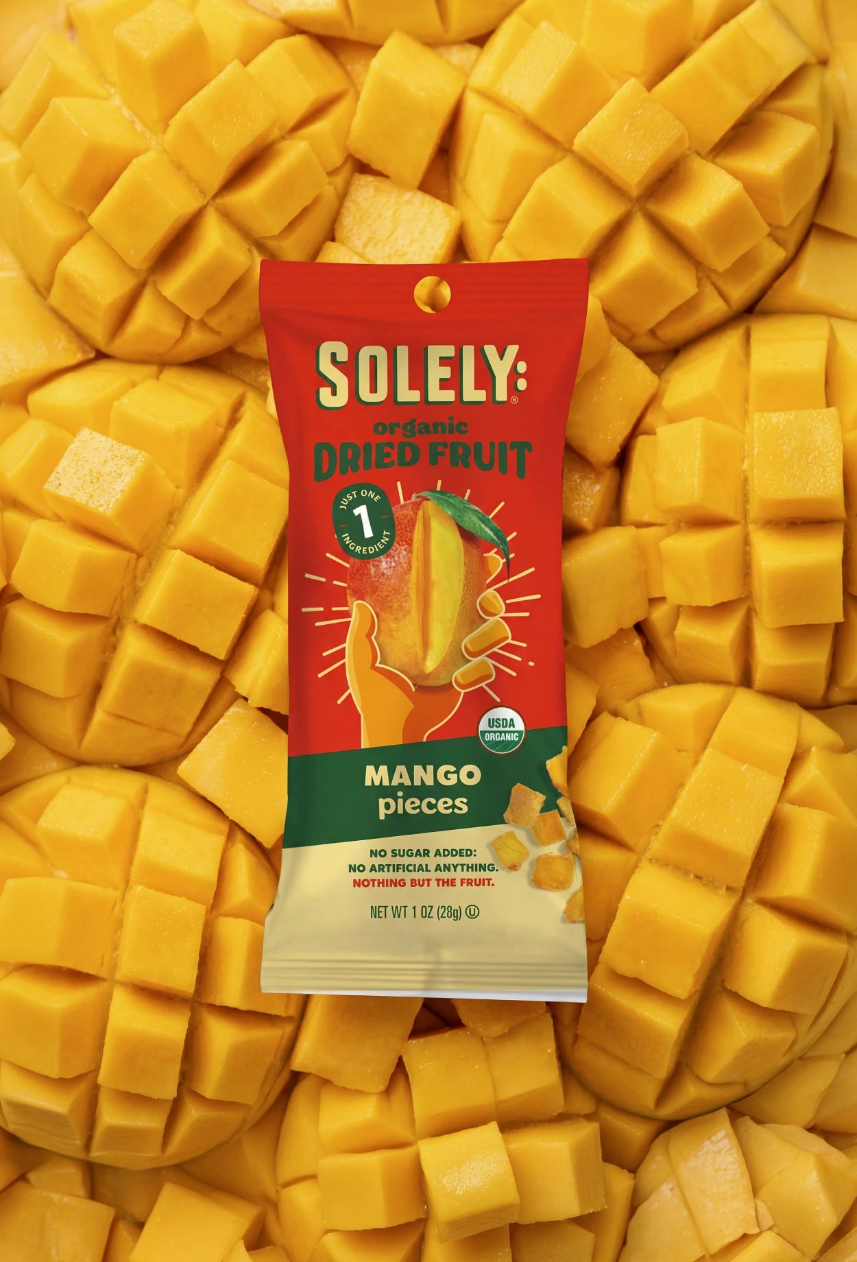 Dried Organic Mango Pieces