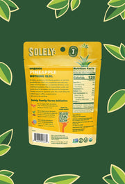 Organic Dried Pineapple Rings 3.5oz