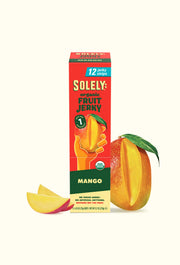 Organic Mango Fruit Jerky