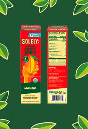 Organic Mango Fruit Jerky