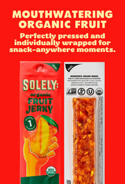 Organic Mango Fruit Jerky