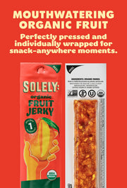 Organic Mango Fruit Jerky