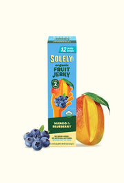 Organic Mango Blueberry Fruit Jerky