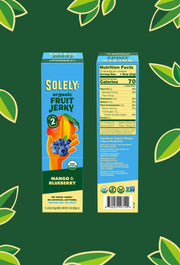 Organic Mango Blueberry Fruit Jerky
