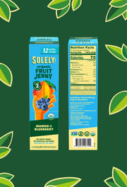 Organic Mango Blueberry Fruit Jerky