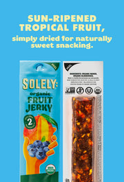 Organic Mango Blueberry Fruit Jerky