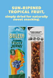 Organic Mango Blueberry Fruit Jerky