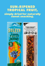 Organic Mango Blueberry Fruit Jerky