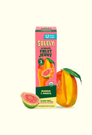 Organic Mango Guava Fruit Jerky