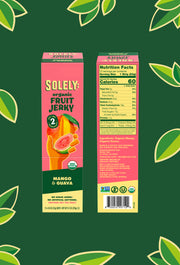 Organic Mango Guava Fruit Jerky
