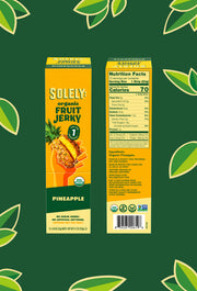 Organic Pineapple Fruit Jerky