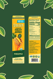 Organic Pineapple Fruit Jerky